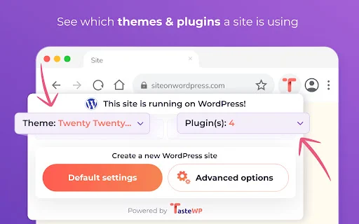 Download TasteWP Terbaru – Buat Instance WordPress Gratis - Screenshot 3