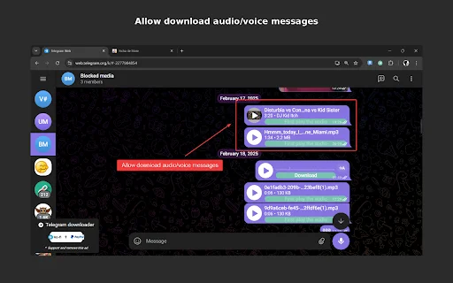 Unduh Telegram Downloader Terbaru – Simpan Media Grup & Channel - Screenshot 2