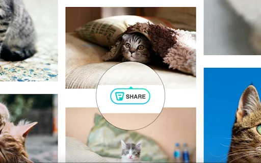 Download Publer Terbaru – Kelola Media Sosial Jadi Lebih Mudah - Screenshot 3