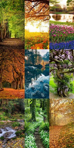 Download Nature Escape HD Wallpapers – Background Alam Gratis - Screenshot 8