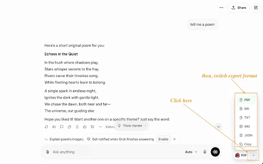 Grok to PDF: Ekspor Chat Grok ke PDF & Markdown Mudah - Screenshot 2