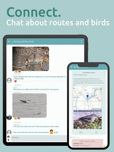 Download BirdingApp Terbaru – Pantau Burung Langka & Komunitas - Screenshot 22