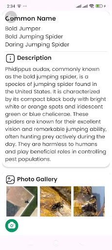 Download Spider Identifier Versi Terbaru – Identifikasi Laba-laba - Screenshot 12