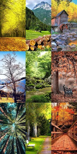 Download Nature Escape HD Wallpapers – Background Alam Gratis - Screenshot 22