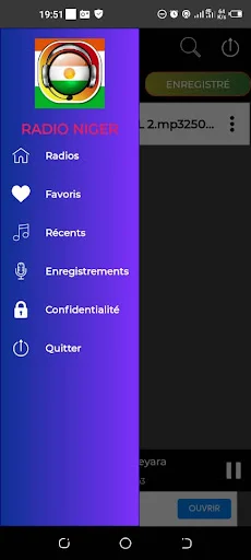 Download Niger Radios + Enregistreur Terbaru – Rekam Radio Gratis - Screenshot 3