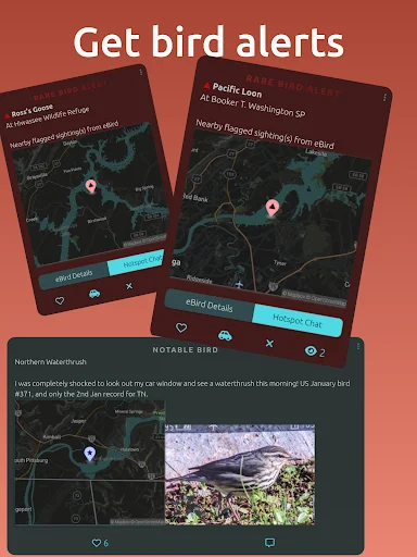 Download BirdingApp Terbaru – Pantau Burung Langka & Komunitas - Screenshot 12